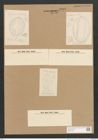 Diatomeae indet. (de-Toni-Nr.: Species 1853 ?) Zeichnungen Sammlung Grunow Nr. 3765 (NHMW-BOT-W0371424)